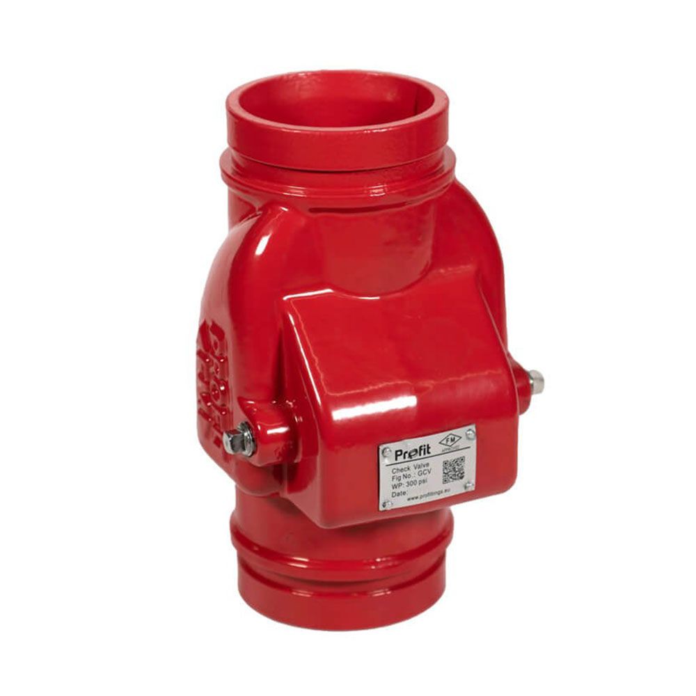Grooved Check Valve
