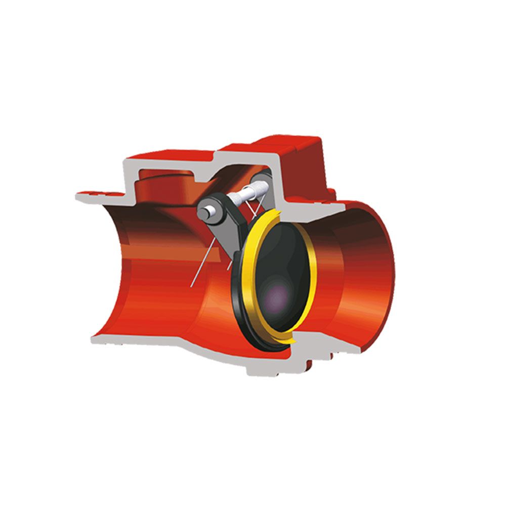 Grooved Check Valve